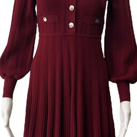 Sandro Burgundy Mini Dress - Picture 9 of 16